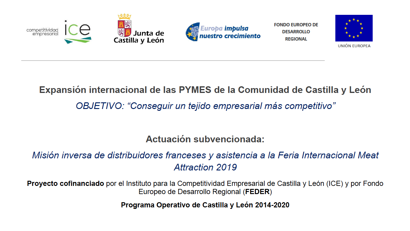 expansion internacional de las pymes cyl