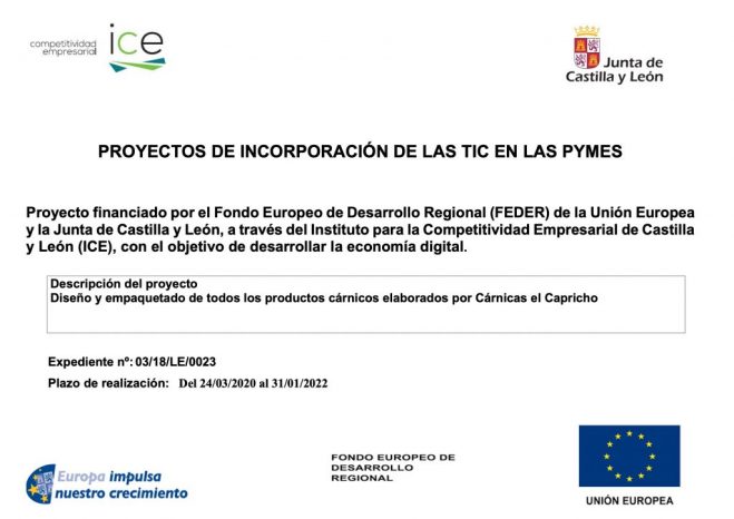 incorporación de las TIC en las pymes